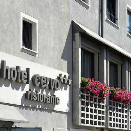Cervo